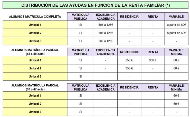 distribucion-ayudas-familia-becas-uemc-26