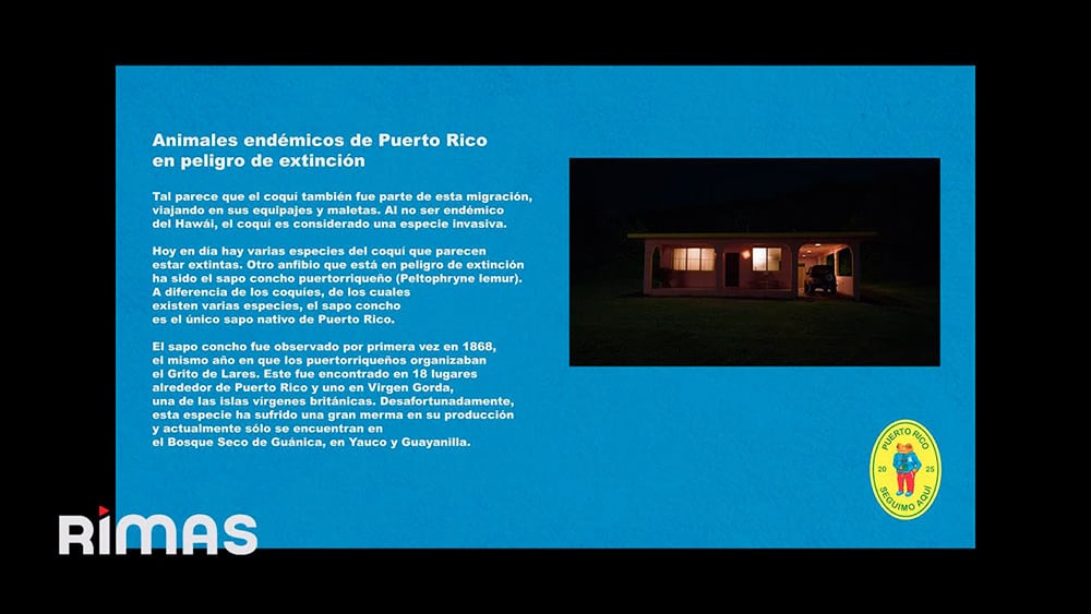 Fotograma de visualizar de Lo que le pasó a Hawai 