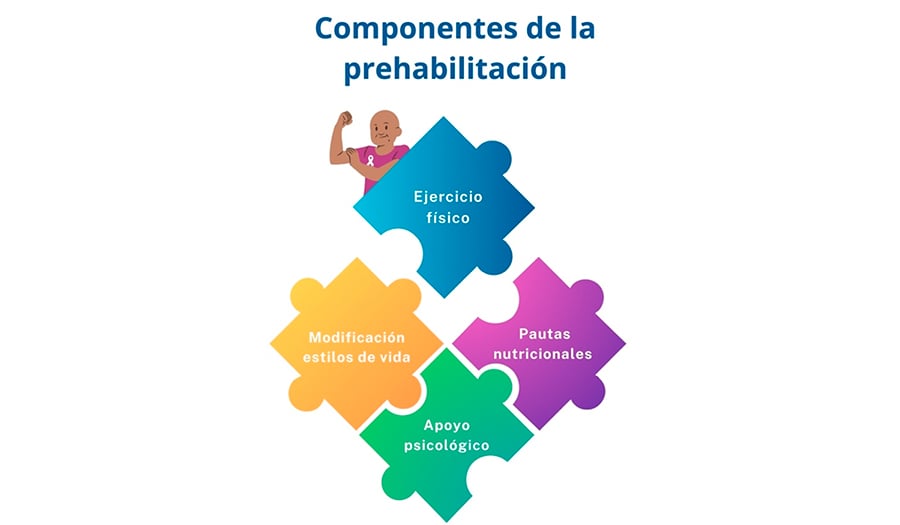 infografia-componentes-de-la-rehabilitacion