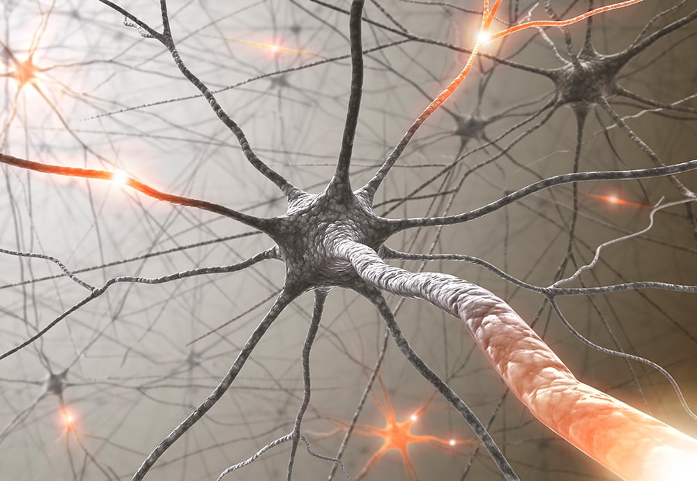 Recreación en 3D de una neurona que compone el Sistema Nervioso.