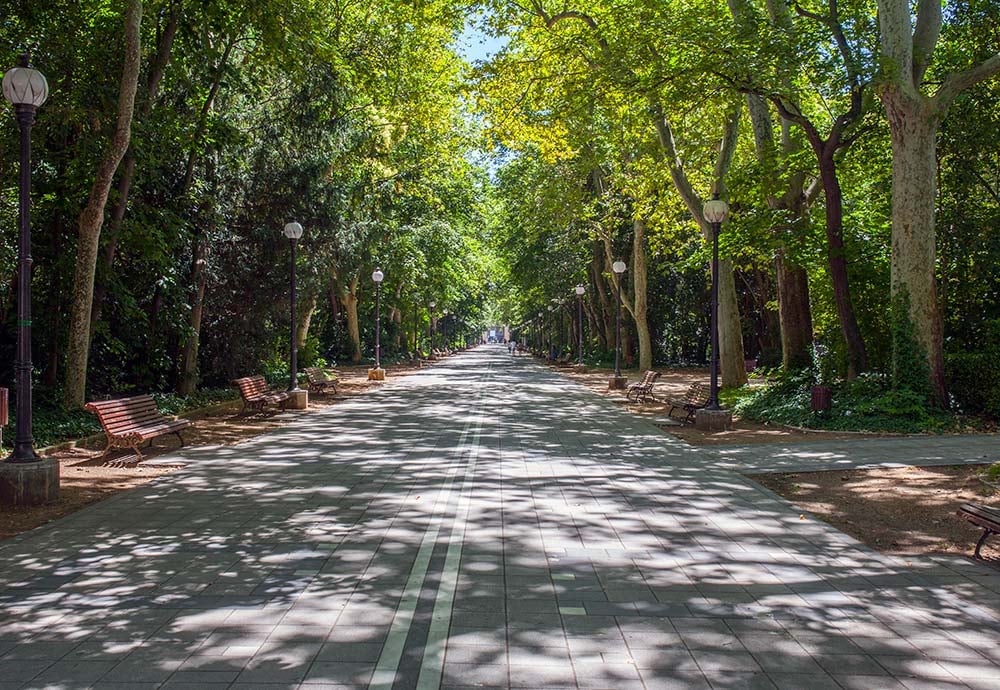 Paseo central de Campo Grande con árboles por ambos lados.