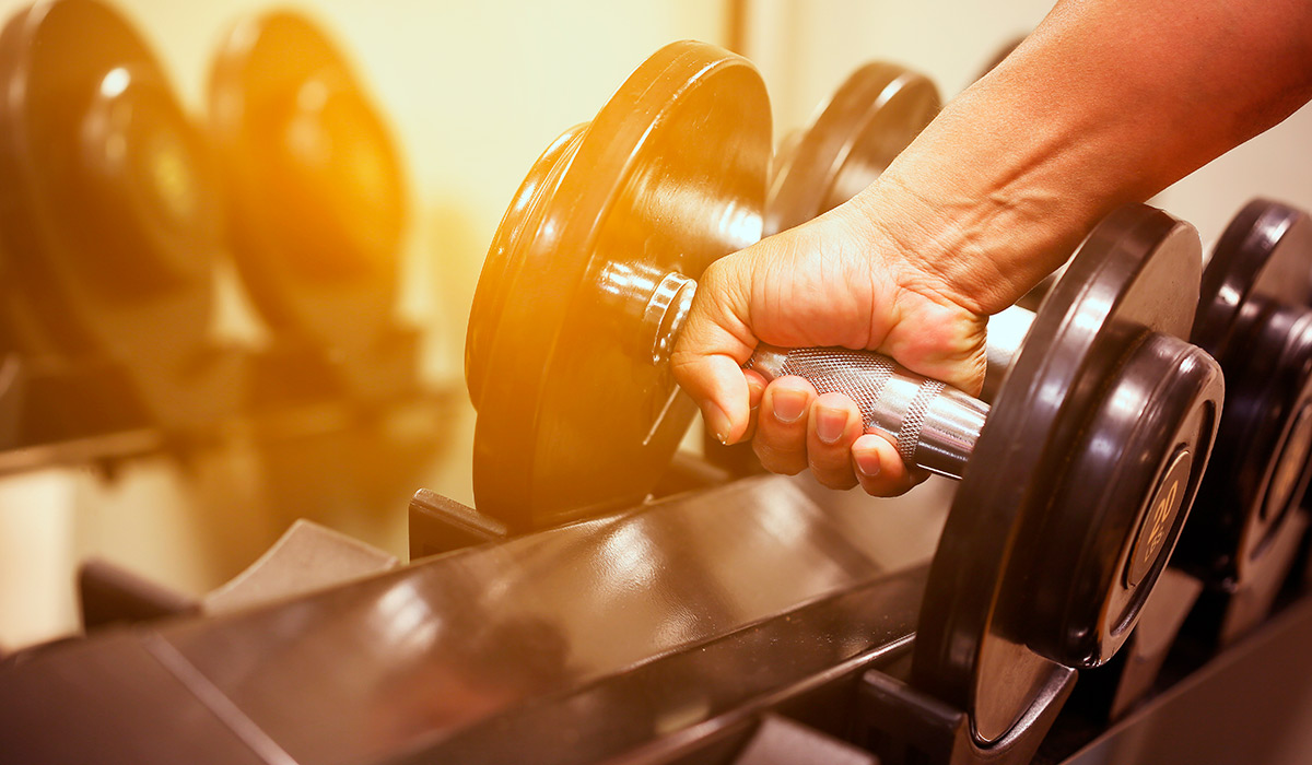 Entrenamiento con mancuernas en gimnasio, relacionado con los estudios en Ciencias de la Actividad Física y del Deporte.