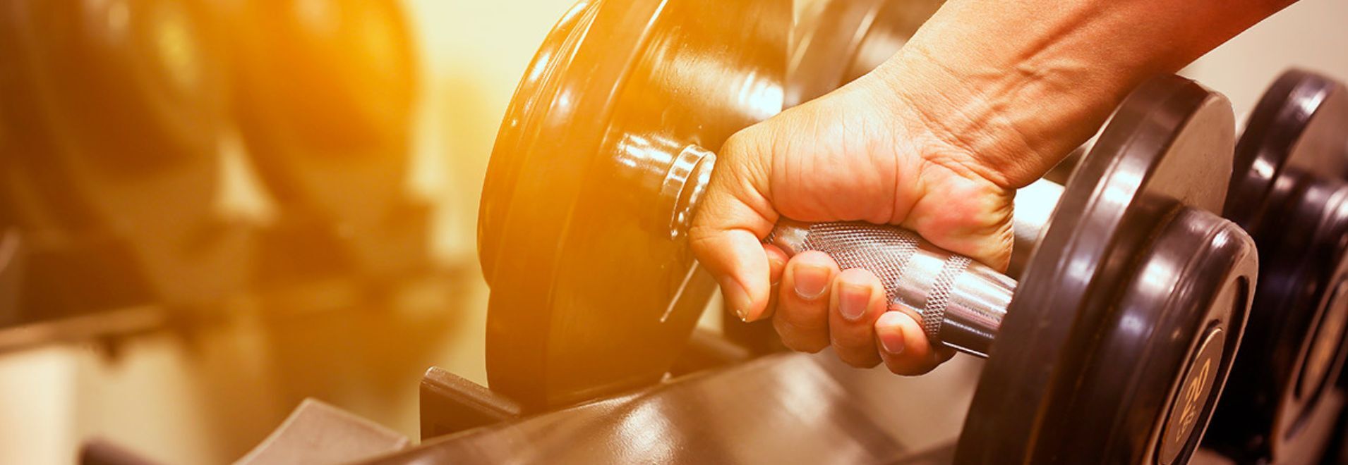 Persona levantando una pesa en un gimnasio, representando la formación práctica en Ciencias de la Actividad Física y del Deporte.